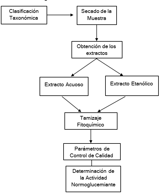 Diagrama

Descripción generada automáticamente