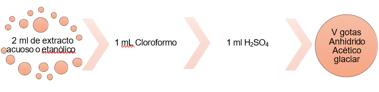 Icono

Descripción generada automáticamente
