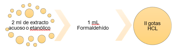 Imagen que contiene Logotipo

Descripción generada automáticamente