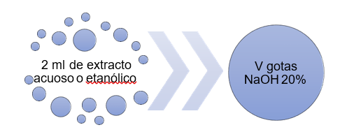 Icono

Descripción generada automáticamente