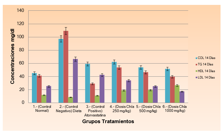 Gráfico, Gráfico de barras

Descripción generada automáticamente
