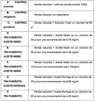 Tabla

Descripción generada automáticamente