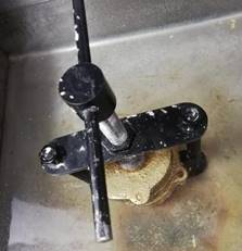 Imagen que contiene interior, pequeño, tabla, comida  Descripción generada automáticamente