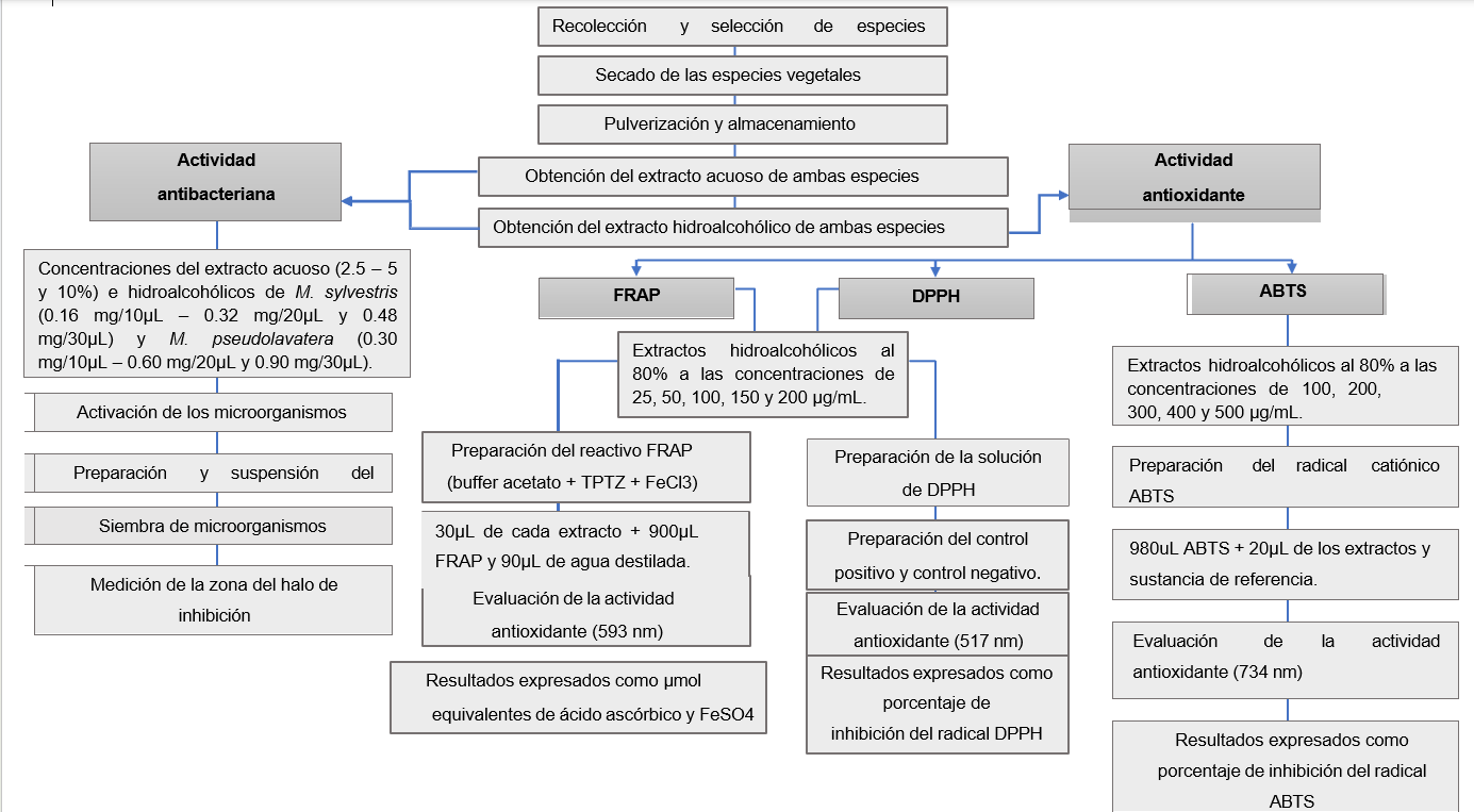 Interfaz de usuario gráfica, Aplicación, Word

Descripción generada automáticamente